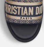 Dway Platform Slide - Image 4